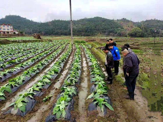 永安农险部积极应对灾情 _001_副本.jpg