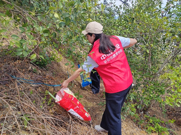 平安产险福州中心支公司清明防火护林志愿行动记 (2).png
