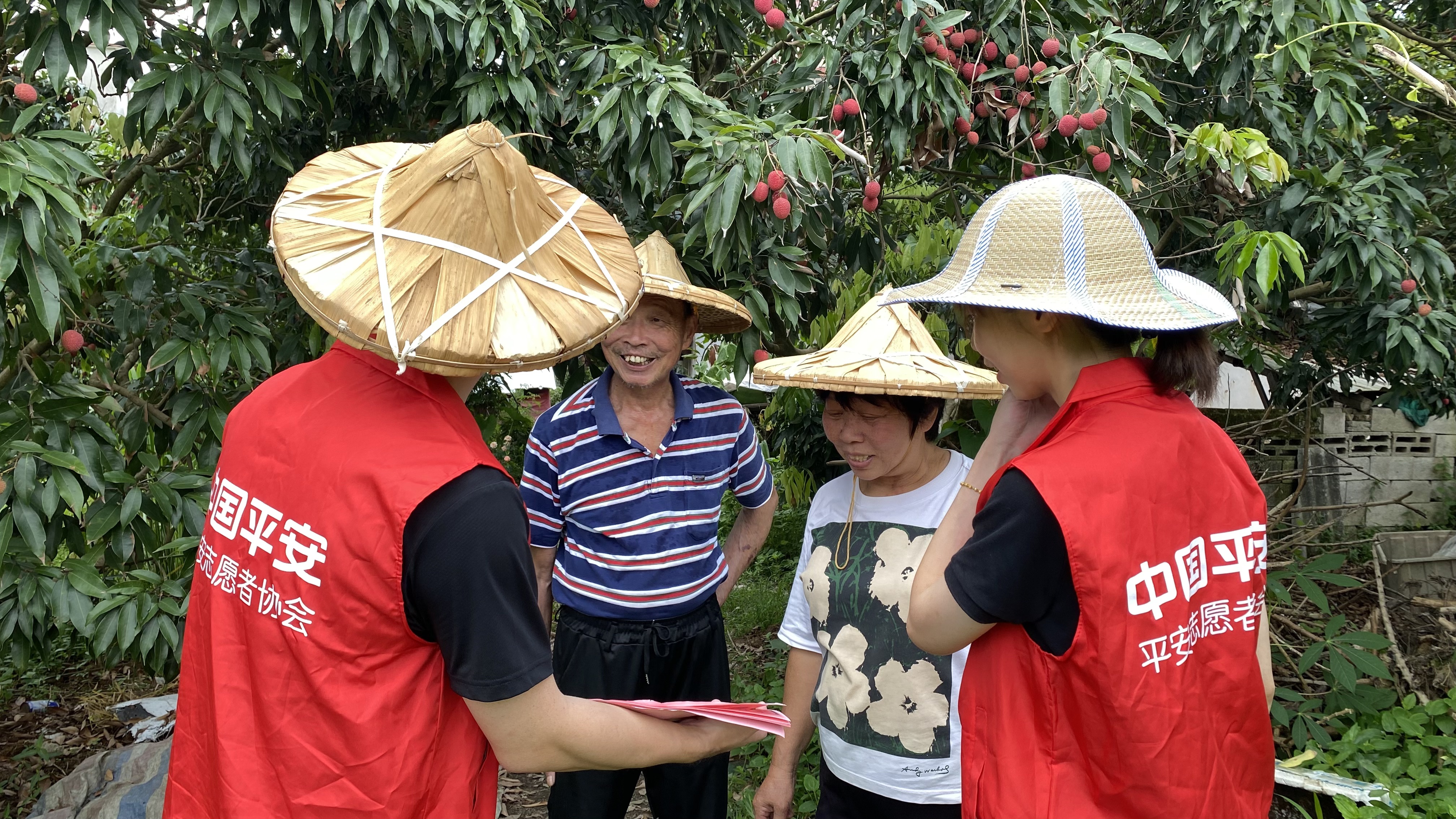 平安“采摘保+科技盾”双模式 护航岵山荔枝产业2.png