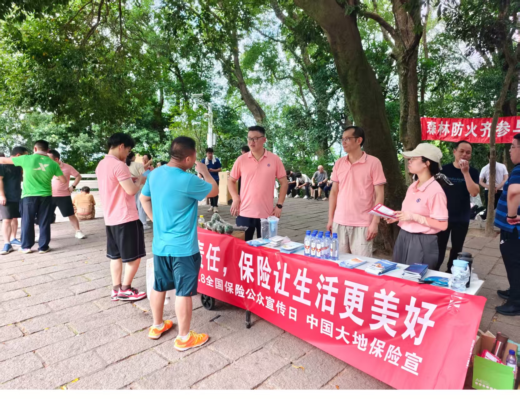 大地保险.jpg