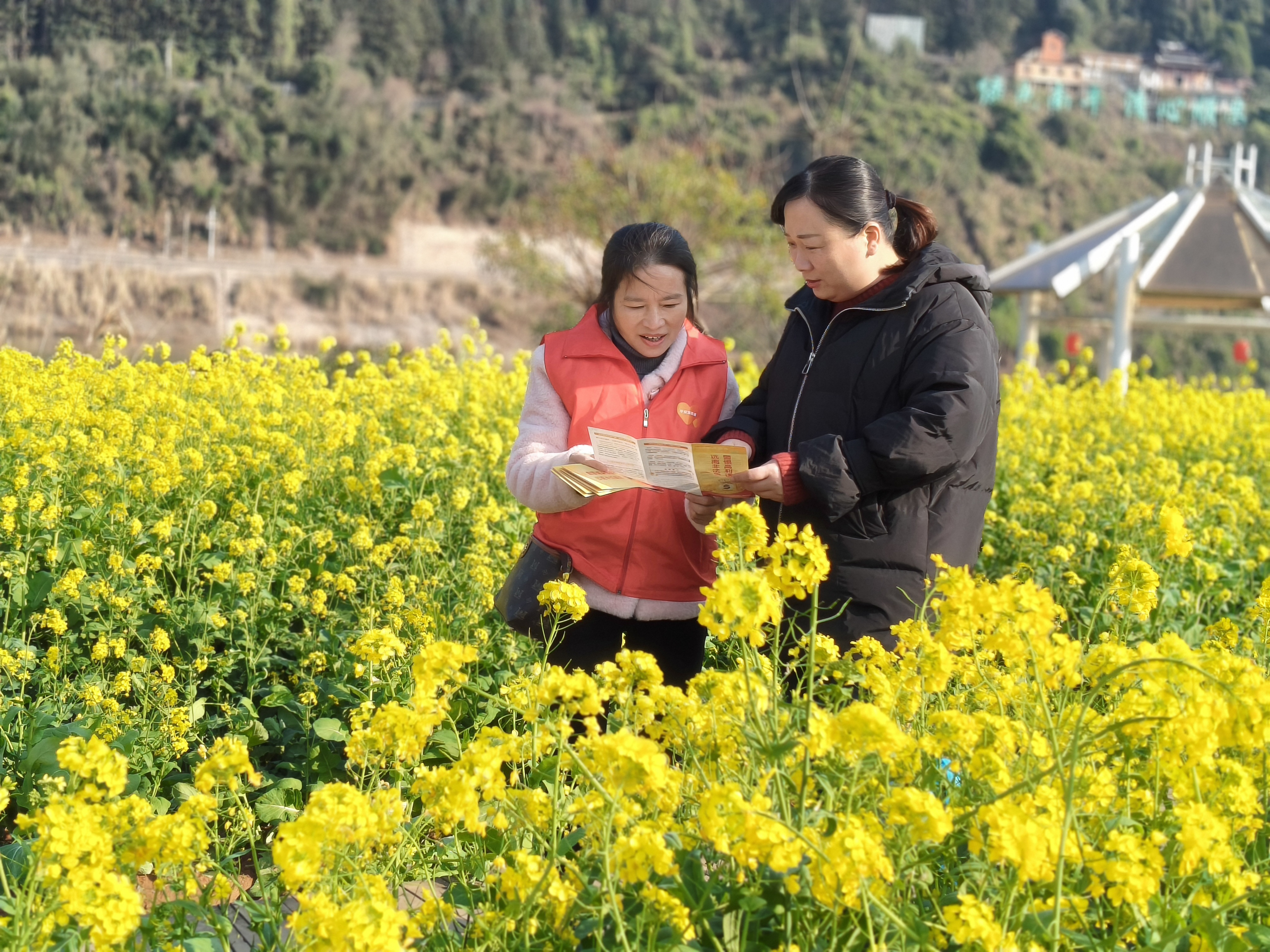 平安产险南平中心支公司：平安携手共赏花，传递金融知识风1.png