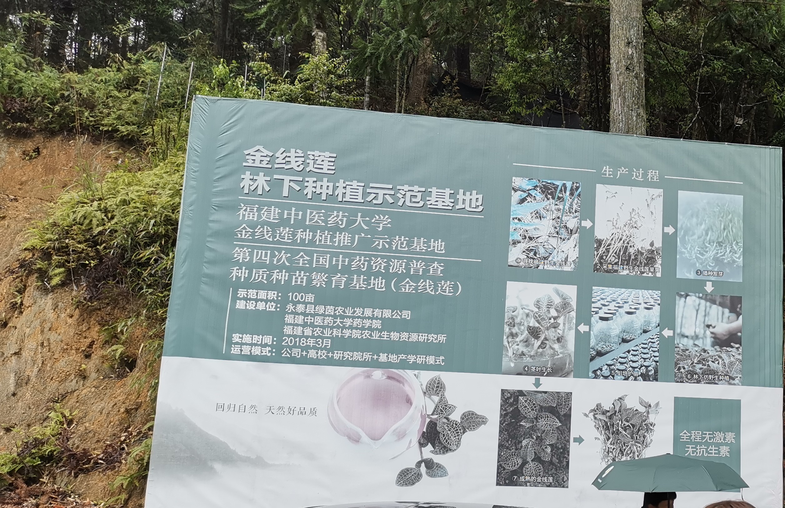 实地观摩扶贫示范基地.jpg